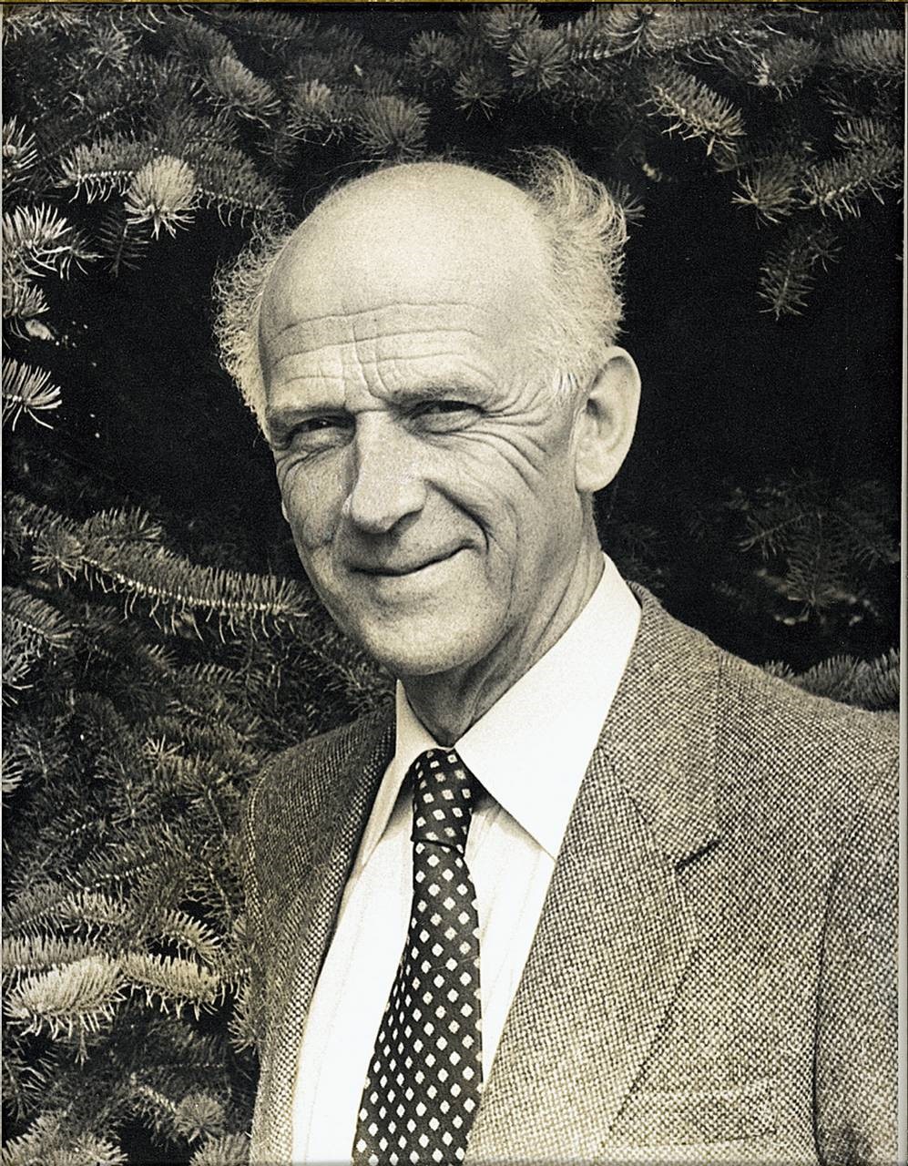  Sivilingeniør Halvor Skjelmerud (1912 - 1999) ble instituttets første direktør, og kom fra stillingen med å få hjem Norges andel av de tyske industrielle krigserstatninger. 